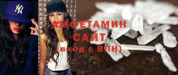 прущие грибы Лабытнанги