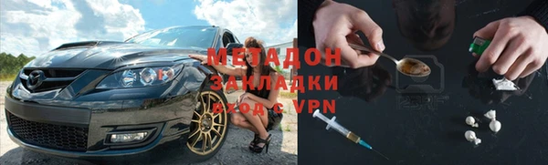 прущие грибы Лабытнанги