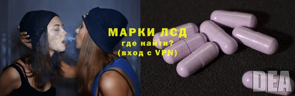 прущие грибы Лабытнанги