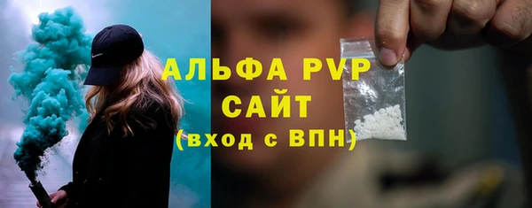 прущие грибы Лабытнанги
