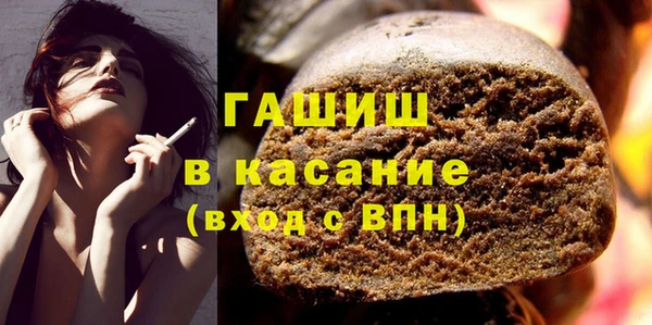 прущие грибы Лабытнанги