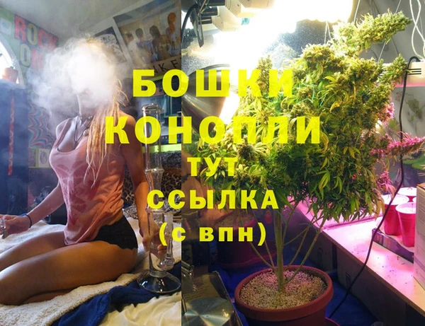 гидропоника Ладушкин