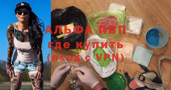 прущие грибы Лабытнанги