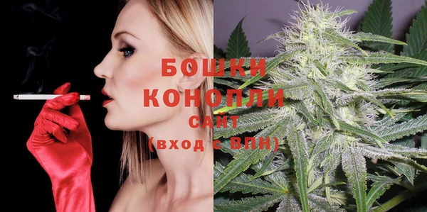 прущие грибы Лабытнанги
