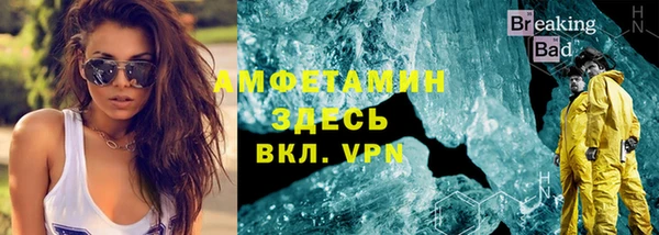 прущие грибы Лабытнанги