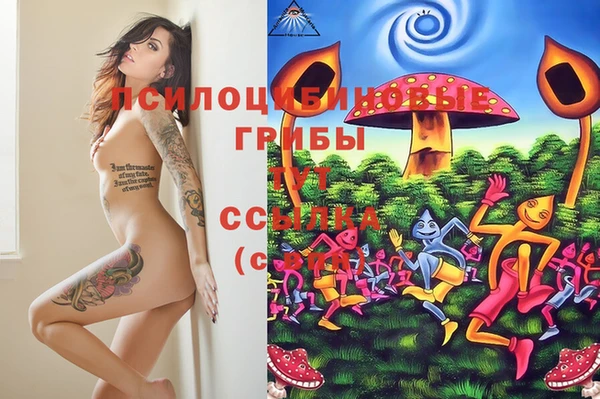 гидропоника Ладушкин