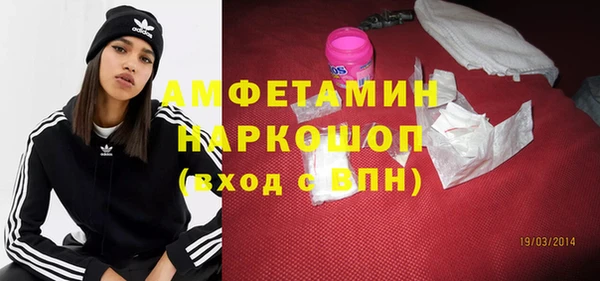 прущие грибы Лабытнанги