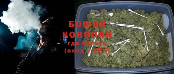 прущие грибы Лабытнанги
