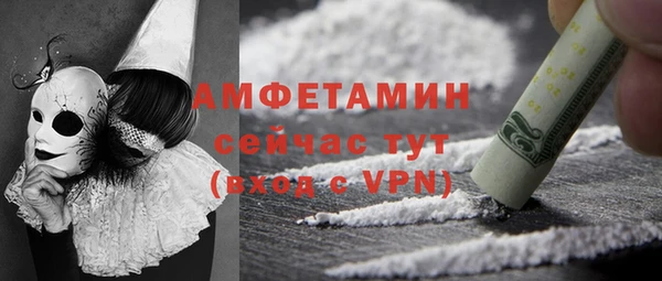 прущие грибы Лабытнанги