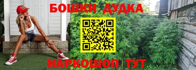 дживик Бийск