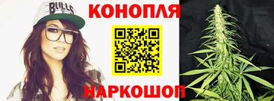 дживик Бийск