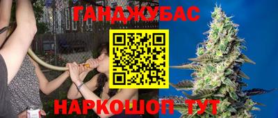 дживик Бийск