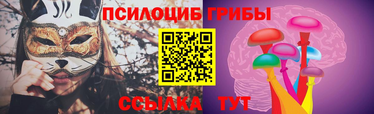 Галлюциногенные грибы Cubensis Еманжелинск